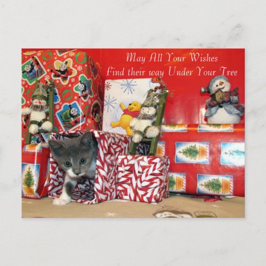 Kerstavond van Bob - Kat / Keukenkerstmis Feestdagenkaart (Voorkant)