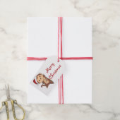 Kerstavond Winterdieren apen Vrachtwagen Cadeaulabel (Met Touw)