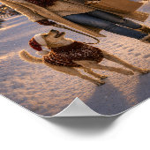 Kerstavondwandeling met Lina Poster (Hoek)