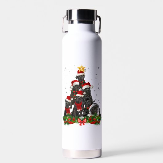 KerstaxKerstmis met rode kruis Waterfles (Voorkant)