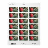 kerstbal etiket (Full Sheet)