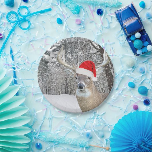 kerstbal in sneeuwvlokken papieren bordje (Feest)