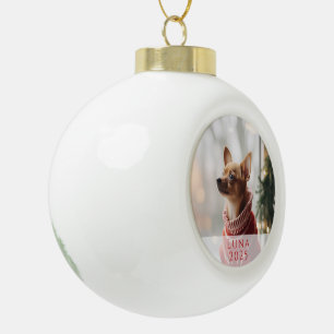 Kerstbal met huisdier foto, naam en jaar keramische bal ornament