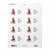 Kerstbandit Raccoon met Cadeau Etiket (Full Sheet)