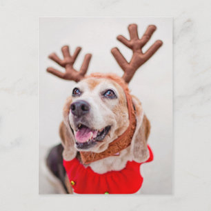 Kerstbeagle hond met feestelijke rendieroren feestdagenkaart