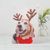 Kerstbeagle hond met feestelijke rendieroren feestdagenkaart (Staand voorkant)