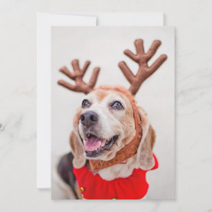 Kerstbeagle hond met feestelijke rendieroren feestdagenkaart