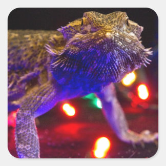 Kerstbeardie Vierkante Sticker