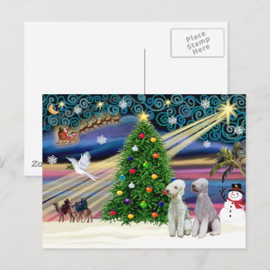 Kerstbedlington Terriers (twee) Feestdagenkaart (Voorkant / Achterkant)