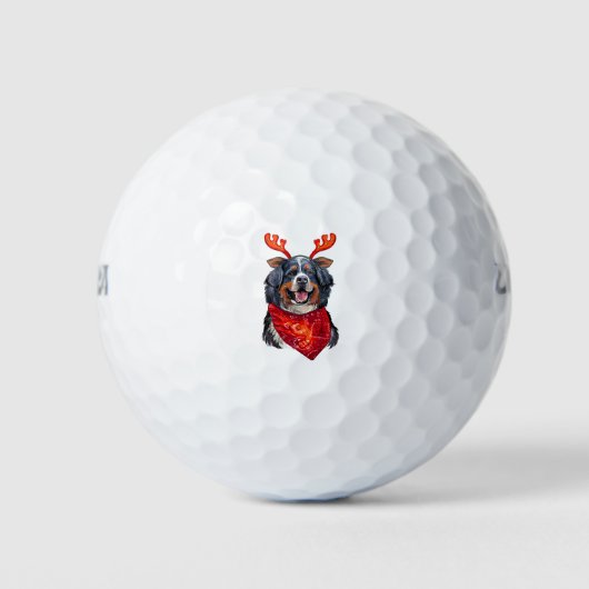 KerstBernese Mountain Dog Golfballen (Voorkant)