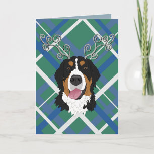 KerstBernese Mountain Dog Kaart