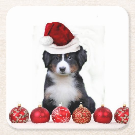 KerstBernese Mountain Dog Kartonnen Onderzetters (Voorkant)