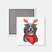 KerstBernese Mountain Dog Magneet (Voorkant / Achterkant)