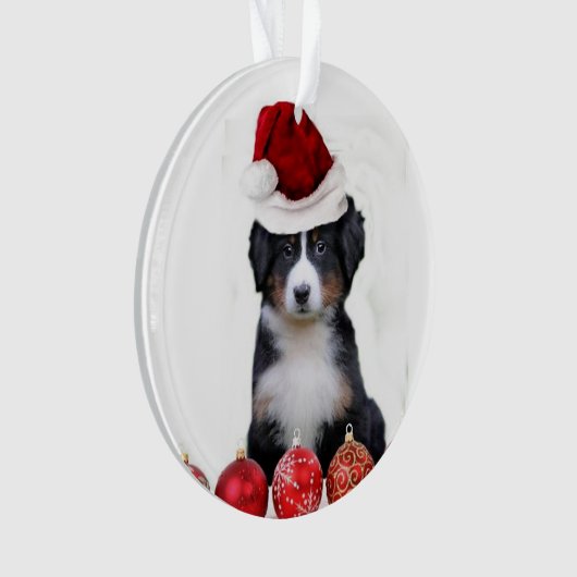 KerstBernese Mountain Dog Ornament (voorkant)
