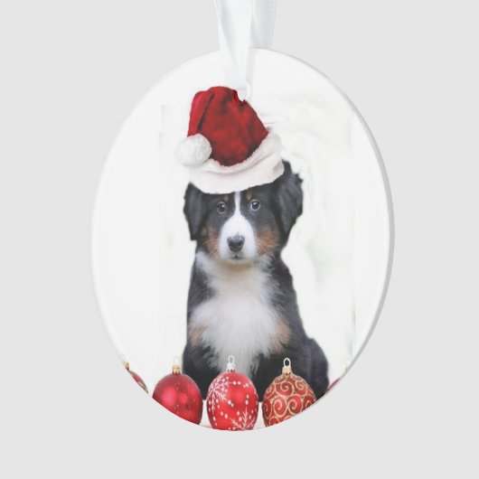 KerstBernese Mountain Dog Ornament (voorkant)