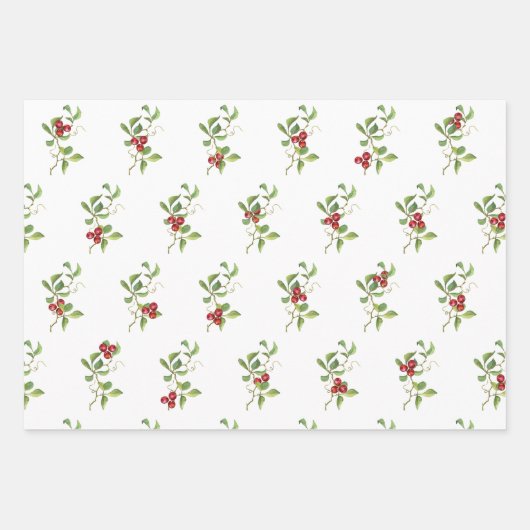 kerstbessen en gesorteerde spoelbakken inpakpapier vel (Voorkant)