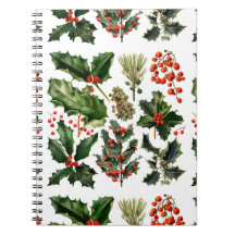 Kerstbessen Holly bladeren. Kerstbessen