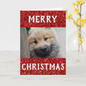 Kerstbeste foto van pap met ever kaart (Gele Bloem)