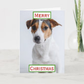 Kerstbeste foto van pap met ever kaart (Voorkant)