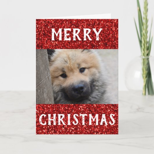 Kerstbeste hond Mam Oog Foto Kaart (Voorkant)