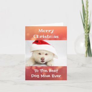Kerstbeste hond Mam Oog Foto Kaart