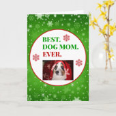 Kerstbeste hond ooit foto kaart (Gele Bloem)