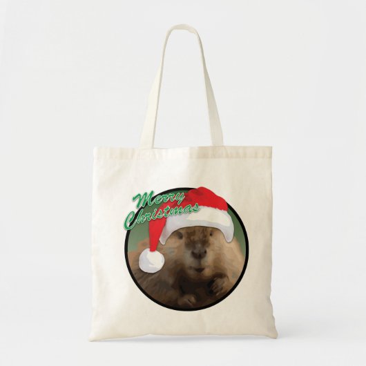 kerstbever - Tas begroting (Voorkant)