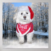 Kerstbichon Frise Dog Poster (Voorkant)