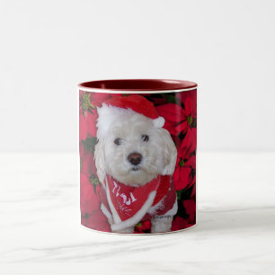 Kerstbichon Frise Dog Tweekleurige Koffiemok