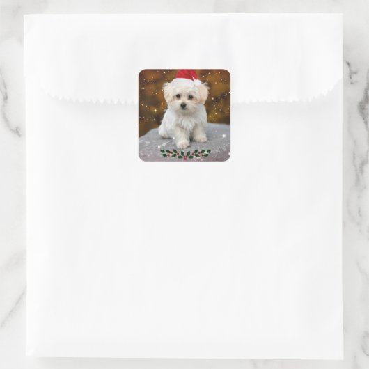 kerstblad voor Maltese stickers (Tas)
