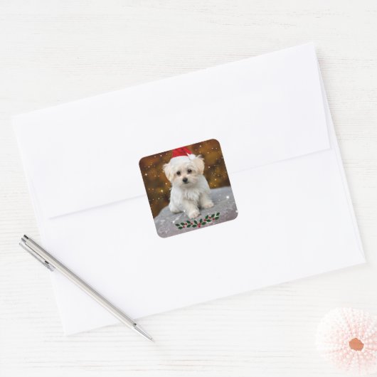 kerstblad voor Maltese stickers (Envelop)