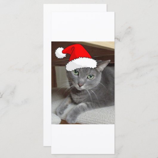 Kerstblauw, grijs (Voorkant / Achterkant)