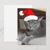 Kerstblauw, grijs feestdagenkaart (Voorkant / Achterkant)