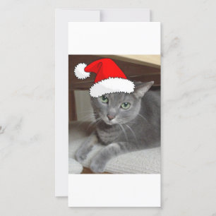 Kerstblauw, grijs feestdagenkaart