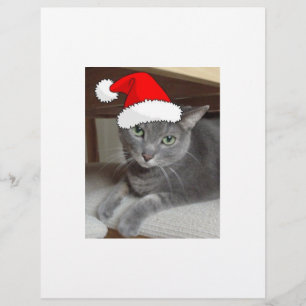 Kerstblauw, grijs flyer