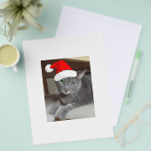 Kerstblauw, grijs flyer (Voorkant /achterkant)