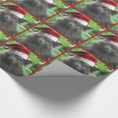 Kerstblauw, langharige kat cadeaupapier (Hoek)