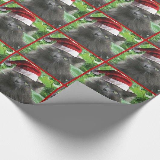 Kerstblauw, langharige kat cadeaupapier (Hoek)