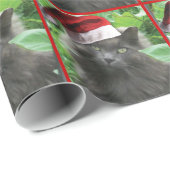 Kerstblauw, langharige kat cadeaupapier (Rol Hoek)