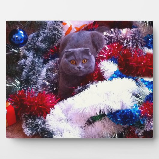 Kerstblauwe kat fotoplaat (Voorkant)