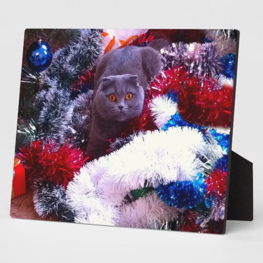 Kerstblauwe kat fotoplaat (Zijkant)