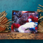 Kerstblauwe kat fotoplaat (Zijkant)