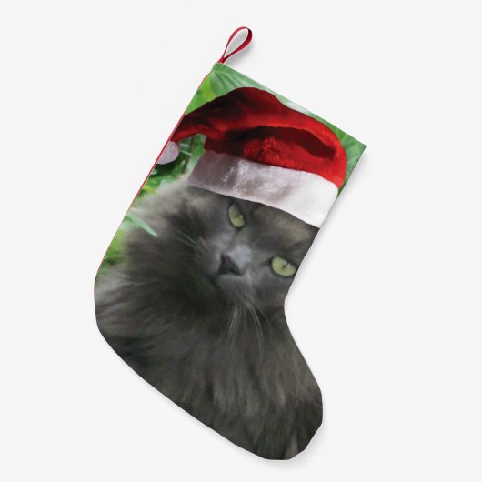 Kerstblauwe kat kleine kerstsok (Voorkant (Hangend))