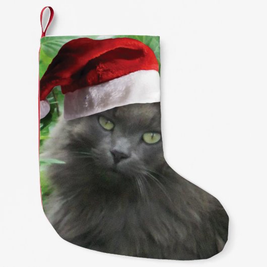 Kerstblauwe kat kleine kerstsok (Voorkant)
