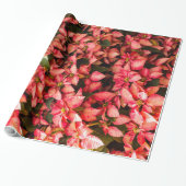 kerstbloem Poinsettia Cadeaupapier (Uitgerold)