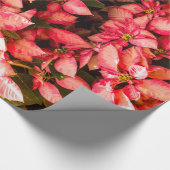 kerstbloem Poinsettia Cadeaupapier (Hoek)