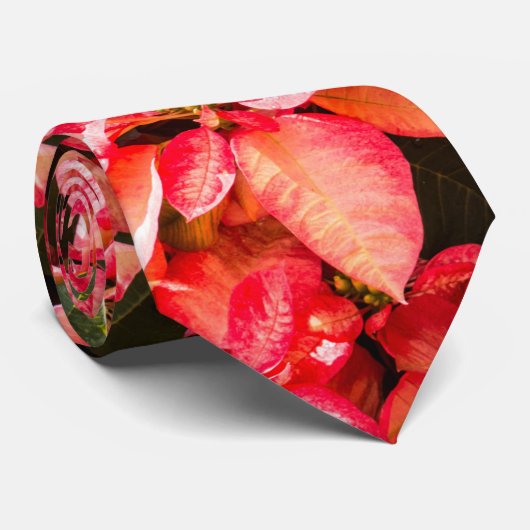 kerstbloem Poinsettia Stropdas (Opgerold)