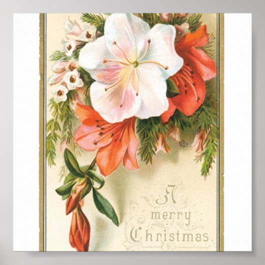 kerstbloemen poster (Voorkant)