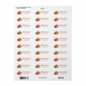 Kerstboek en cacaoreadres etiket (Full Sheet)