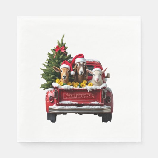 Kerstboerderij Servet (Voorkant)